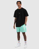 WNDRR OFFEND BEACH SHORT - Mint