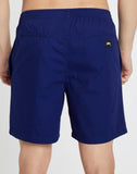 Stussy BASIC STOCK Beachshort