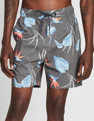 BRIXTON Havana Trunks