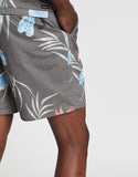BRIXTON Havana Trunks