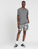 BRIXTON Havana Trunks