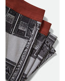 BRIXTON Blitz 21" Boardshort - TV Checker/Amber Terrian
