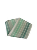 E-Male Pocket Square - Silk