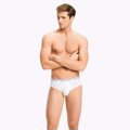 TOMMY HILFIGER 1U87903766 3 Pack Brief - Black/Grey Heather/White