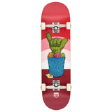 DECA Murphys Cactus Lookin Sharp 8.5 Complete Skateboard