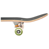 DECA Murphys Cactus Thumbs Up 8.25 Complete Skateboard